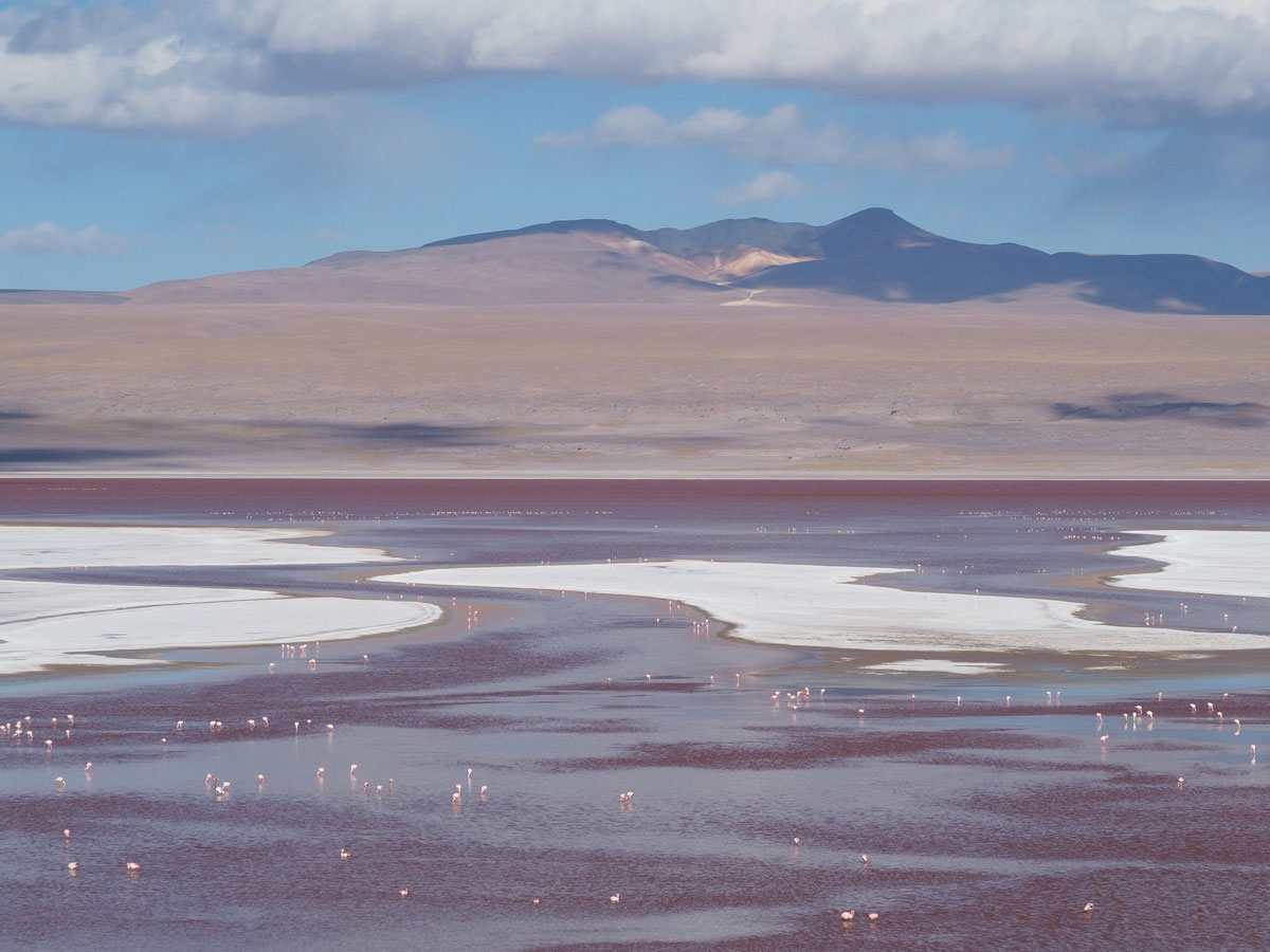 salar de uyuni laguna colorada tour bolivien 22 - Ausflug in die Salar de Uyuni und Laguna Colorada in Bolivien
