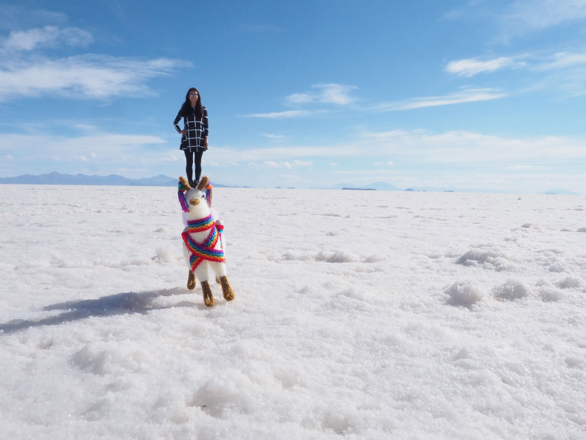 salar de uyuni laguna colorada tour bolivien 5 - Ausflug in die Salar de Uyuni und Laguna Colorada in Bolivien