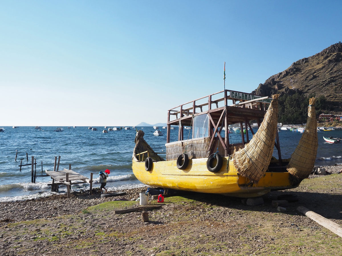 Tititcacasee