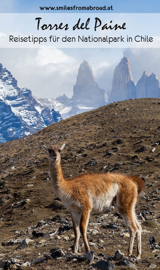 torresdelpaine pinterest3 - Torres del Paine Nationalpark ohne W Trek