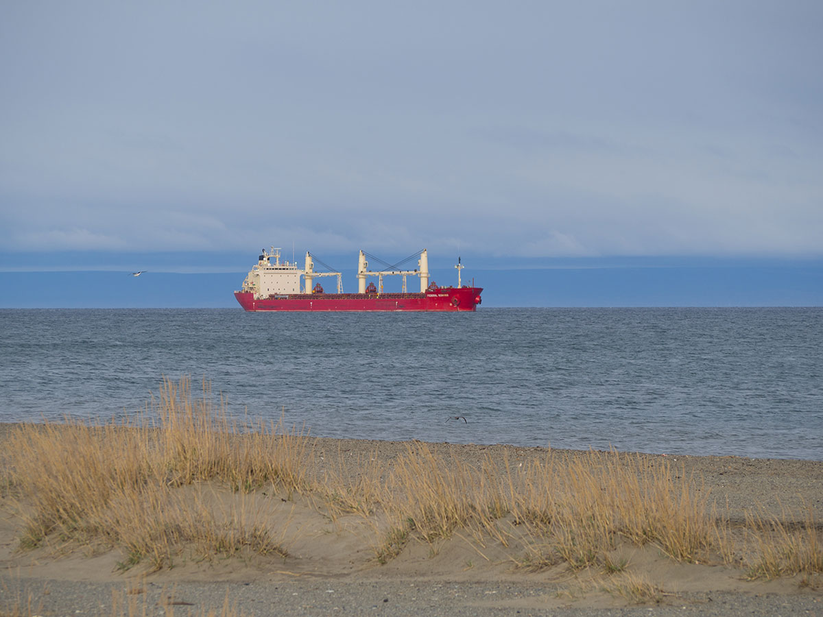 punta arenas chile patagonien 1 - Patagonien im Überblick - ein Reiseguide für deine Planung