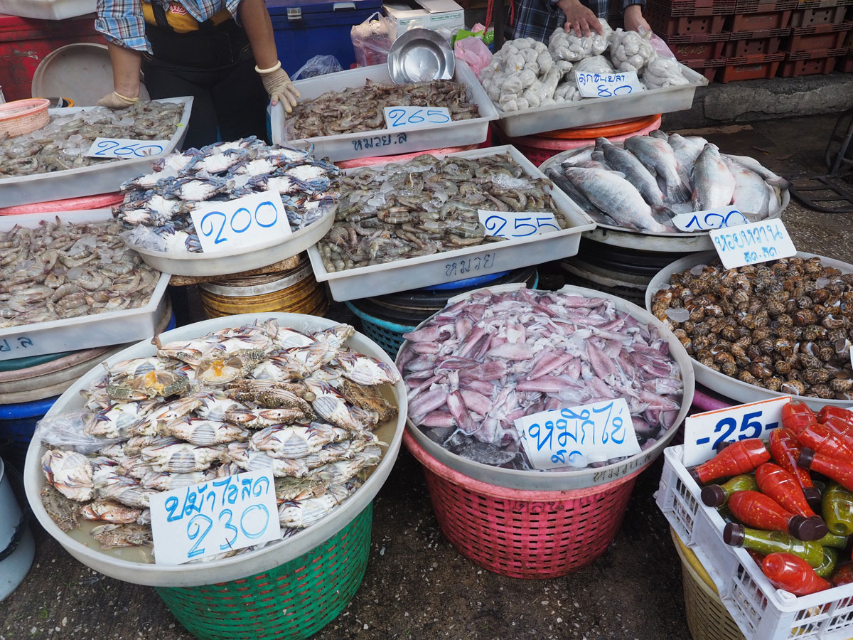 maeklong trainmarket bangkok reisetipps selbstfahrer 10 - Maeklong train market in Bangkok - How to self organise a tour