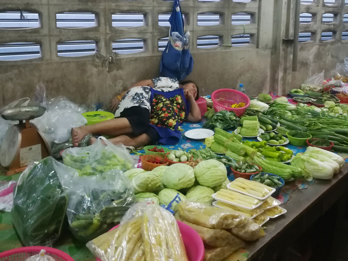 maeklong trainmarket bangkok reisetipps selbstfahrer 6 - Maeklong Zugmarkt in Bangkok auf eigene Faust besuchen