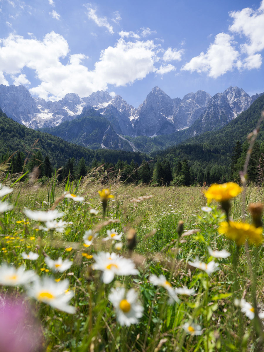 Triglav Nationalpark Slowenien