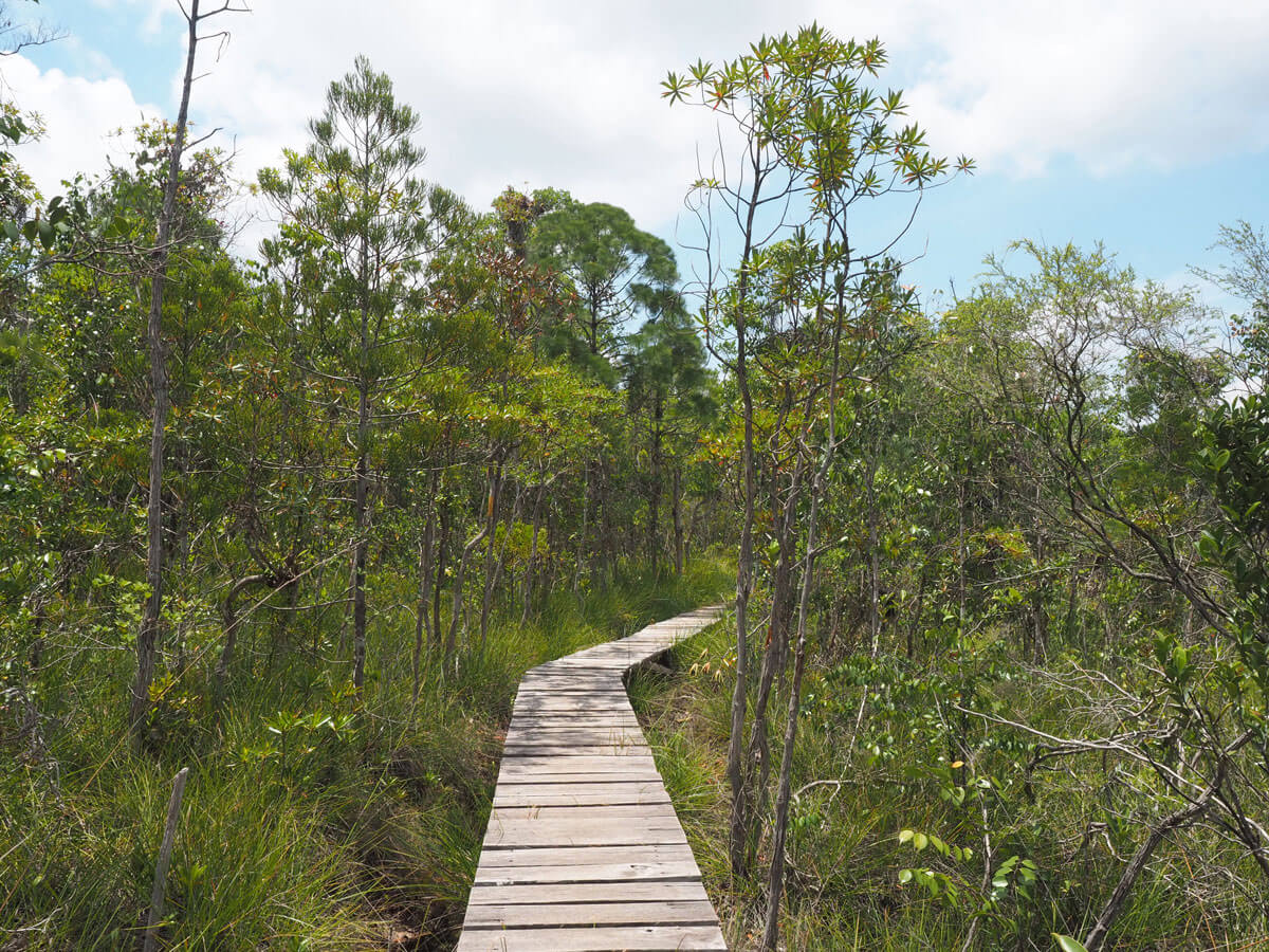 Bako Nationalpark Wanderung Aussichtspunkt (”)