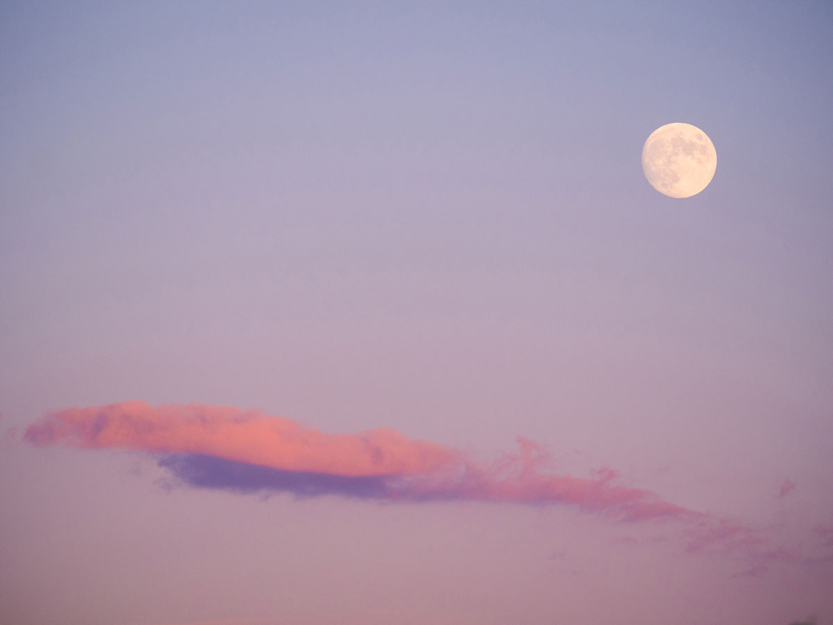 Mond