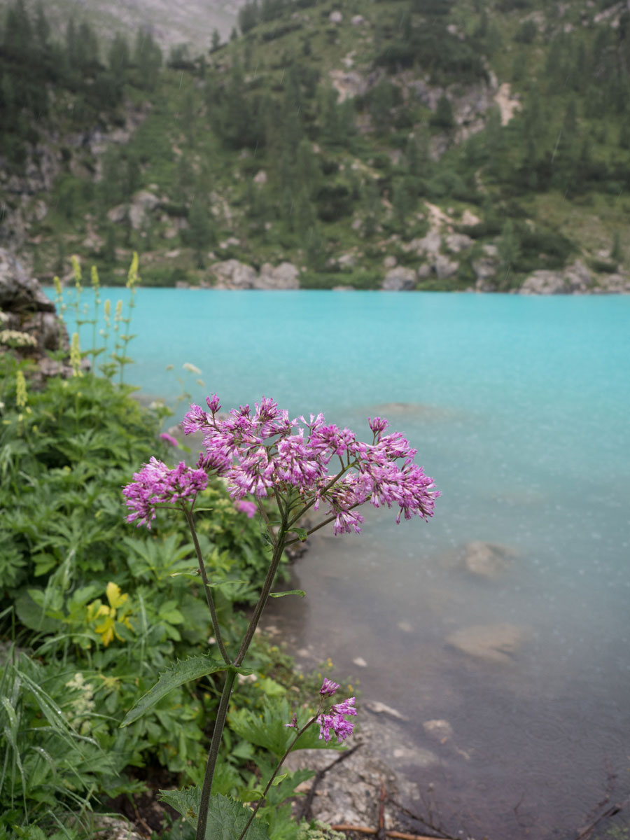 Sorapis See Dolomiten Italien Wandern (”)