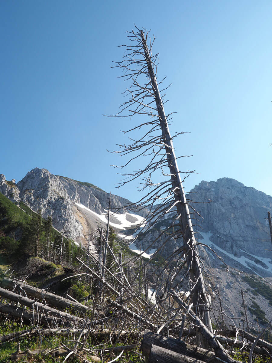 Wandern Feichtauseen Blumaueralm ” Wandern Feichtauseen Blumaueralm ”