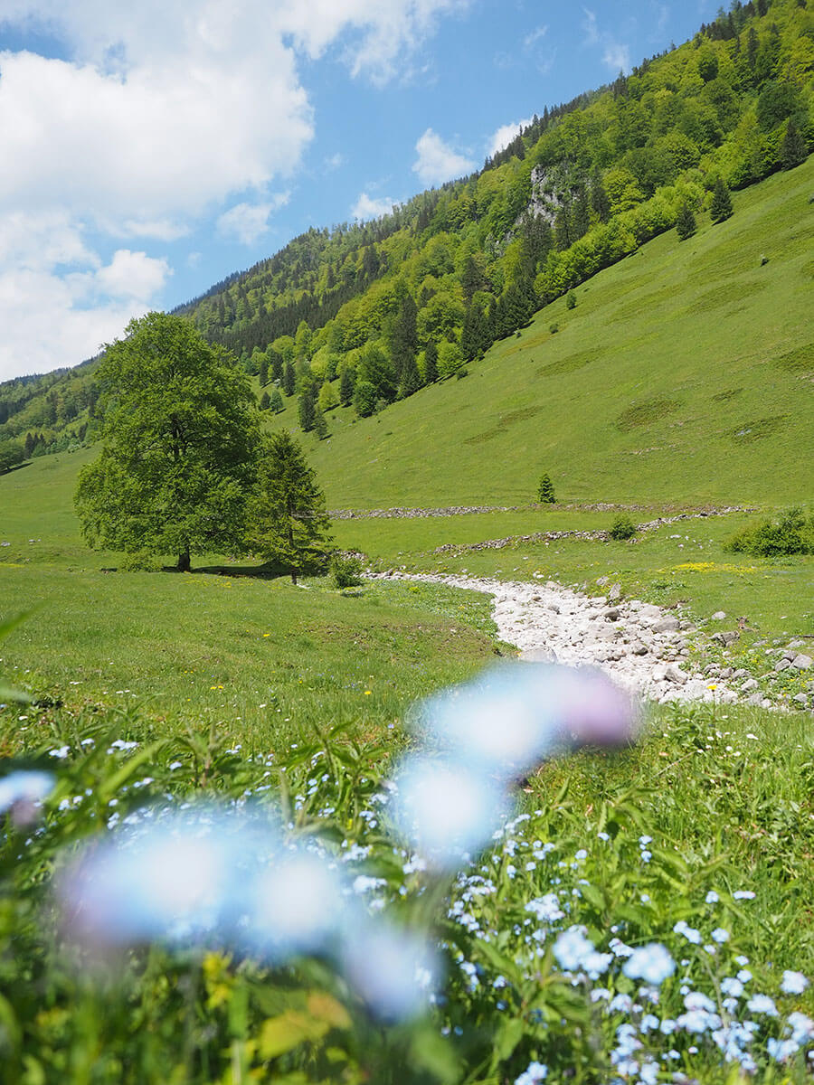 Wandern Feichtuseen Blumaueralm Wandern Feichtuseen Blumaueralm