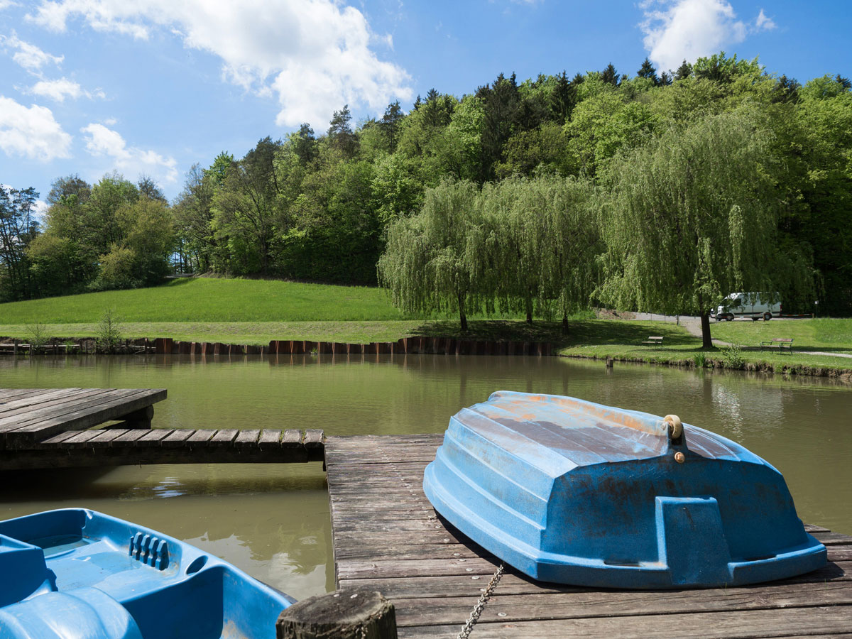 Fischteich Unterlamm Steiermark