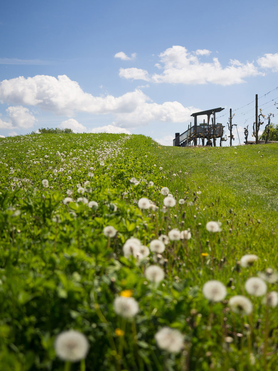 Steiermark Wandern