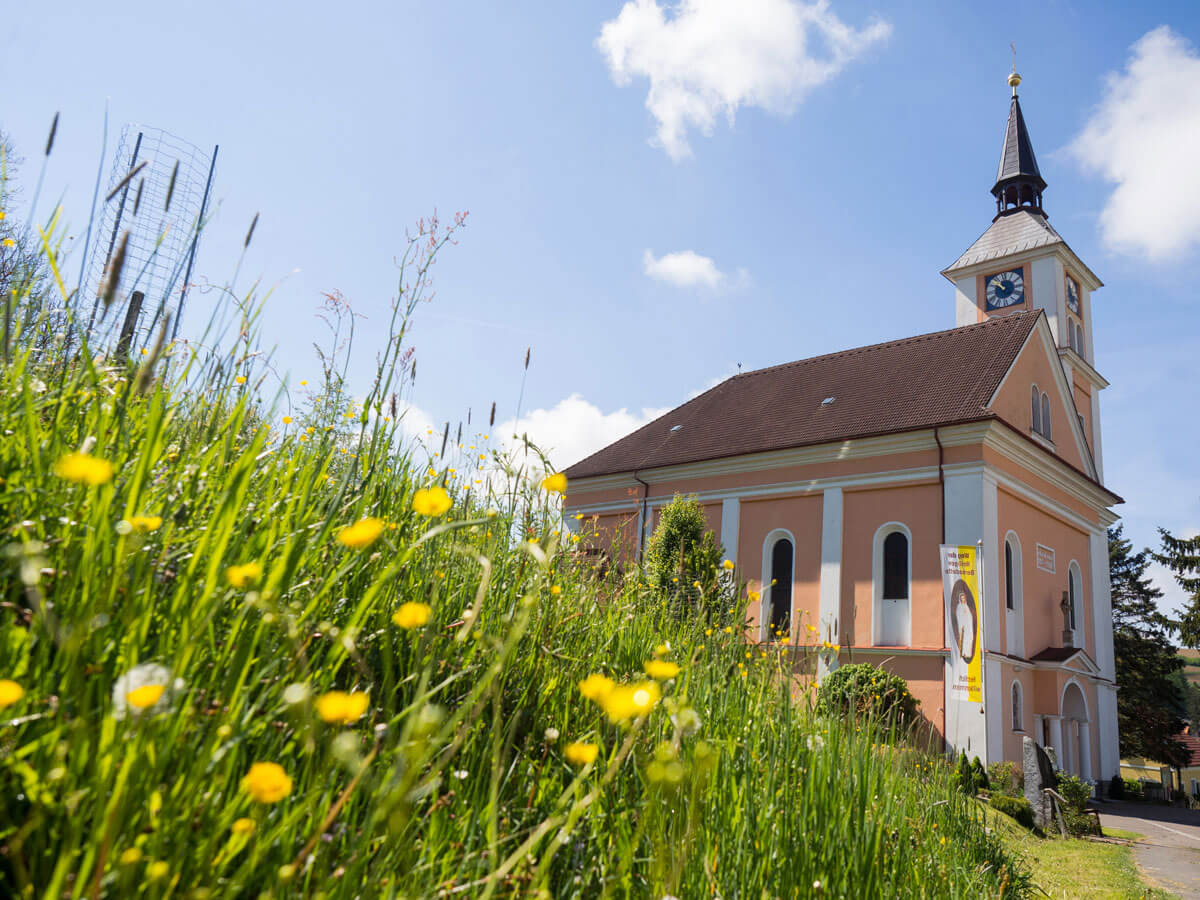 Suedoststeiermark Wandern Weingarten Resort Runde Unterlamm ”