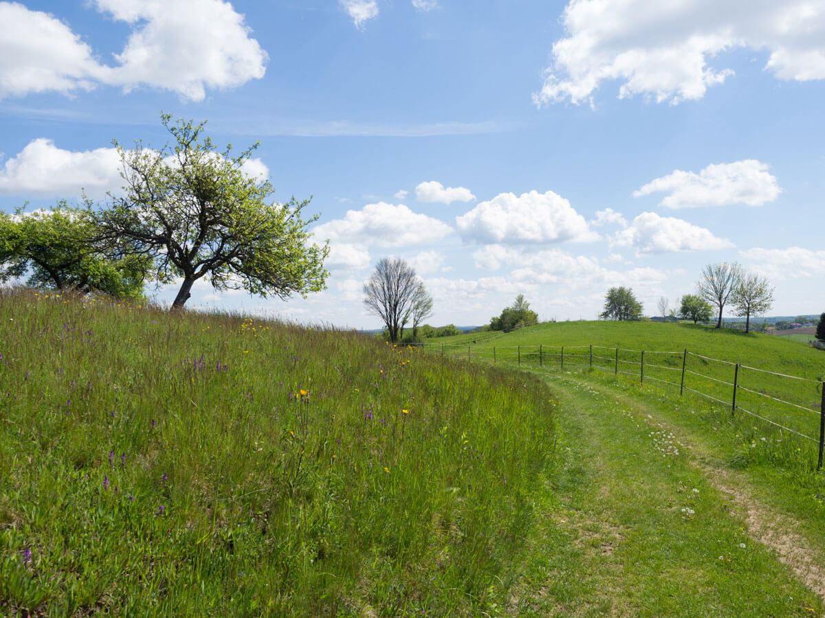 Suedoststeiermark Wandern Weingarten Resort Runde Unterlamm ”