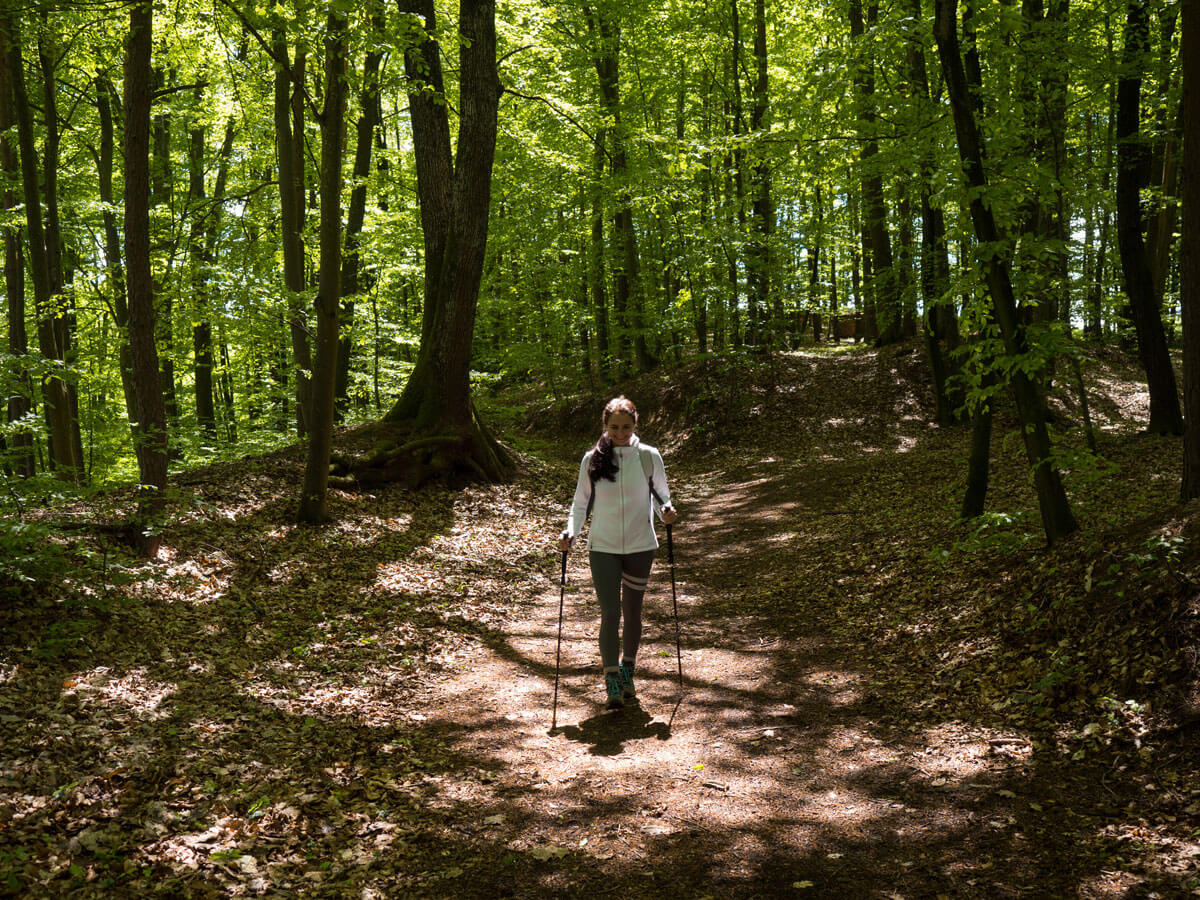 Suedoststeiermark Wandern Weingarten Resort Runde Unterlamm ”