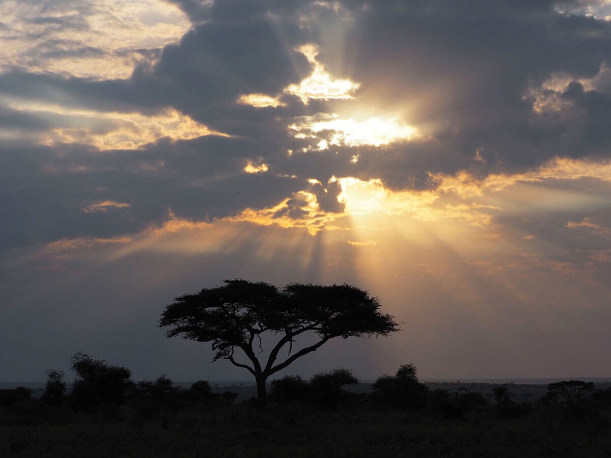 Tansania Serengeti Nationalpark ”