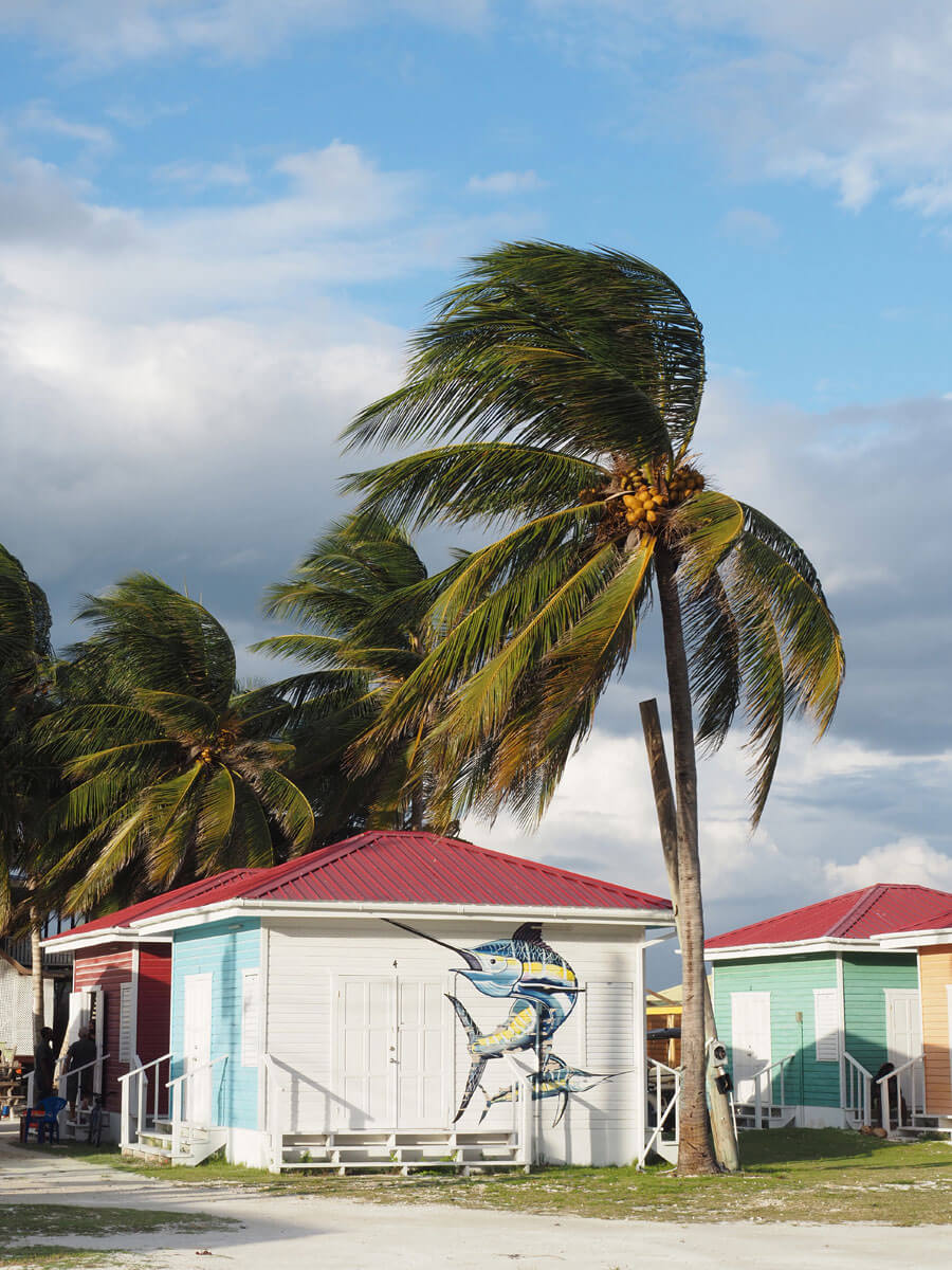 Caye Caulker Belize Reisetipps ” Caye Caulker Belize Reisetipps ”