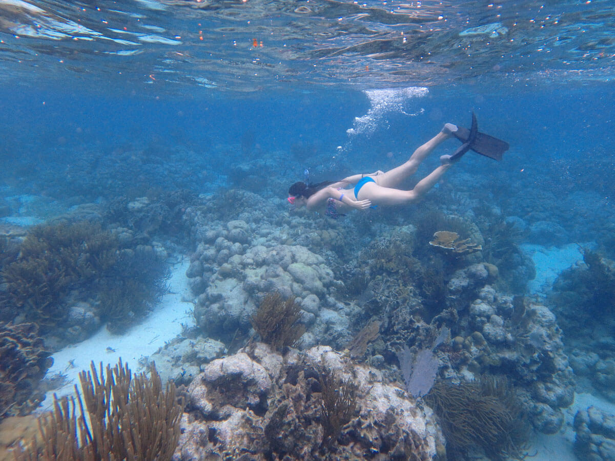 Caye Caulker Belize Reisetipps ” Caye Caulker Belize Reisetipps ”