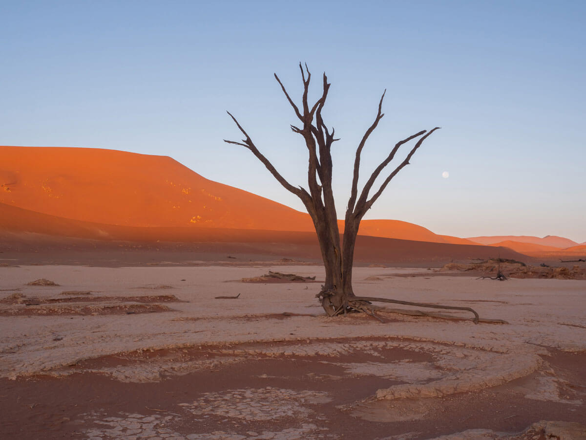 Deadvlei Sonnenaufgang Fototipps Fotografie Namibia ”