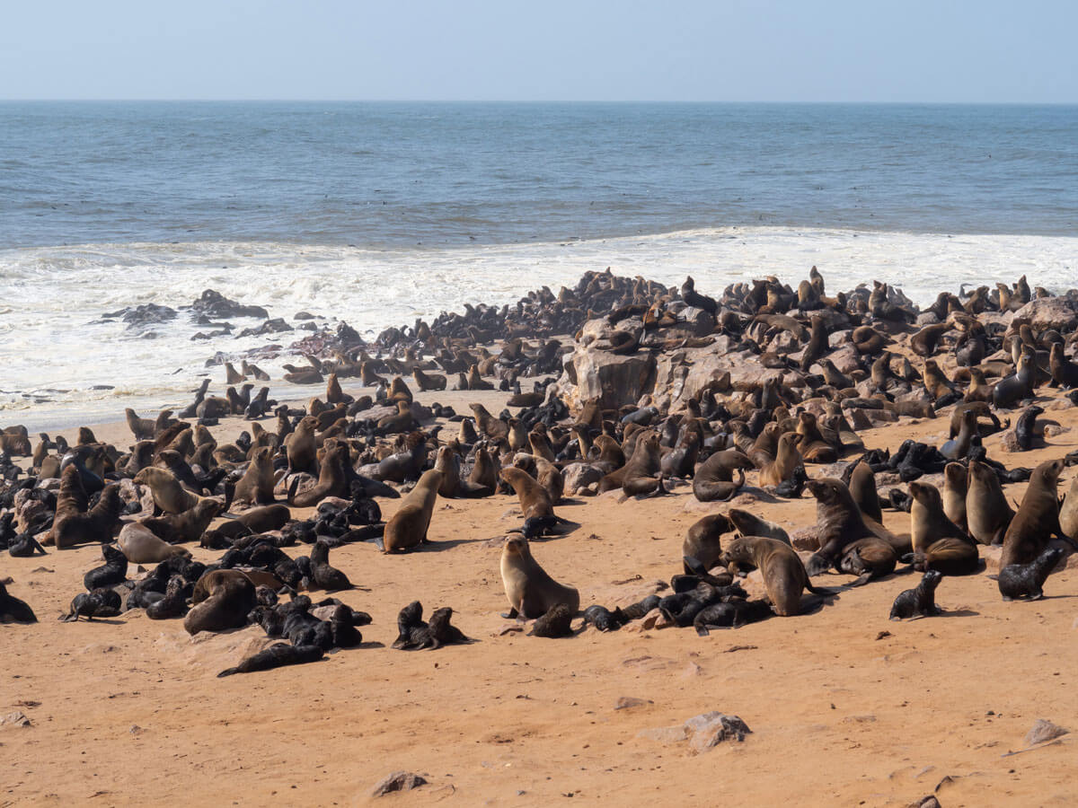 Namibia Sehenswuerdigkeiten ” Namibia Sehenswuerdigkeiten ”