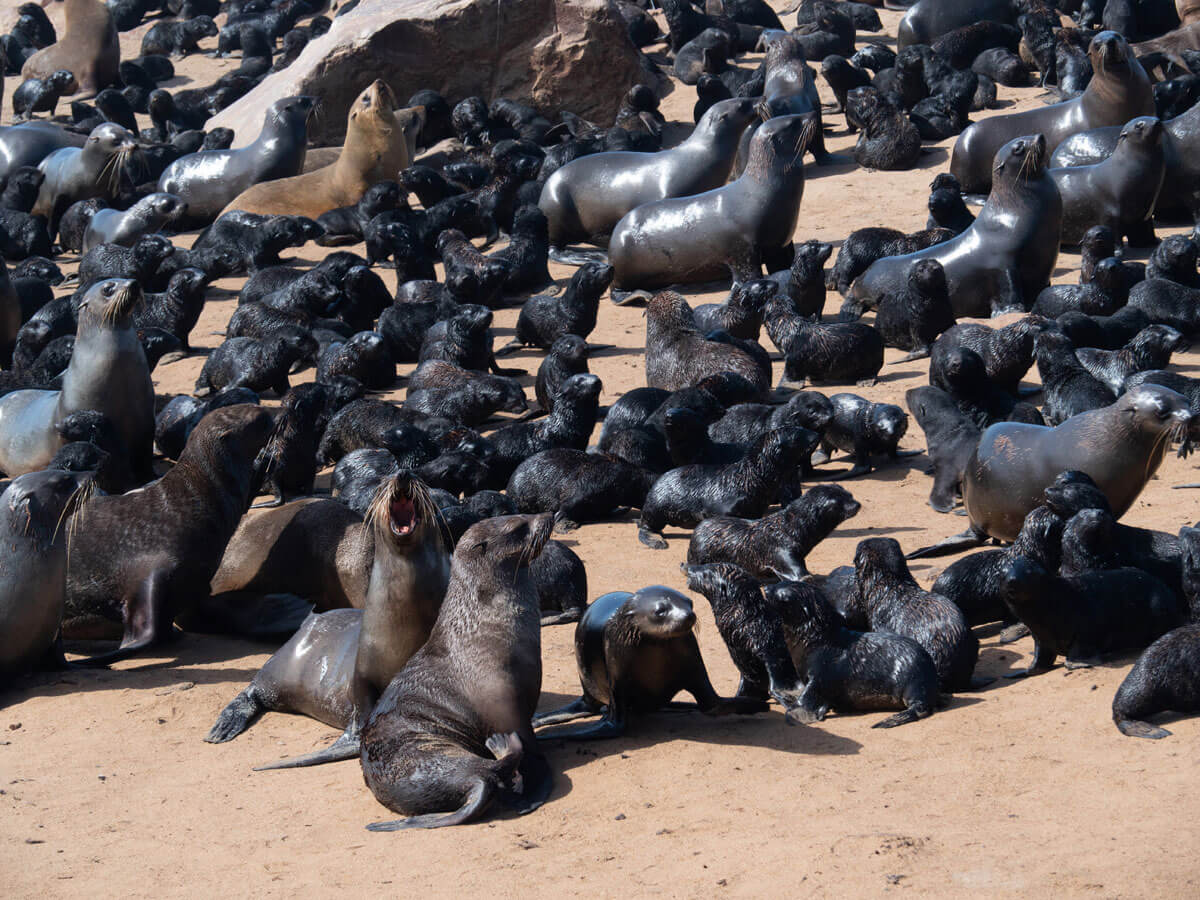 Namibia Sehenswuerdigkeiten ” Namibia Sehenswuerdigkeiten ”