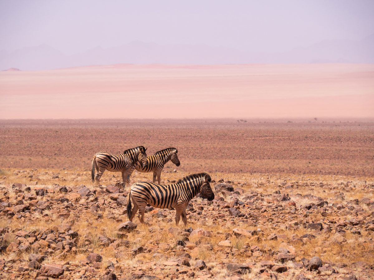 Namibia Sehenswuerdigkeiten ” Namibia Sehenswuerdigkeiten ”