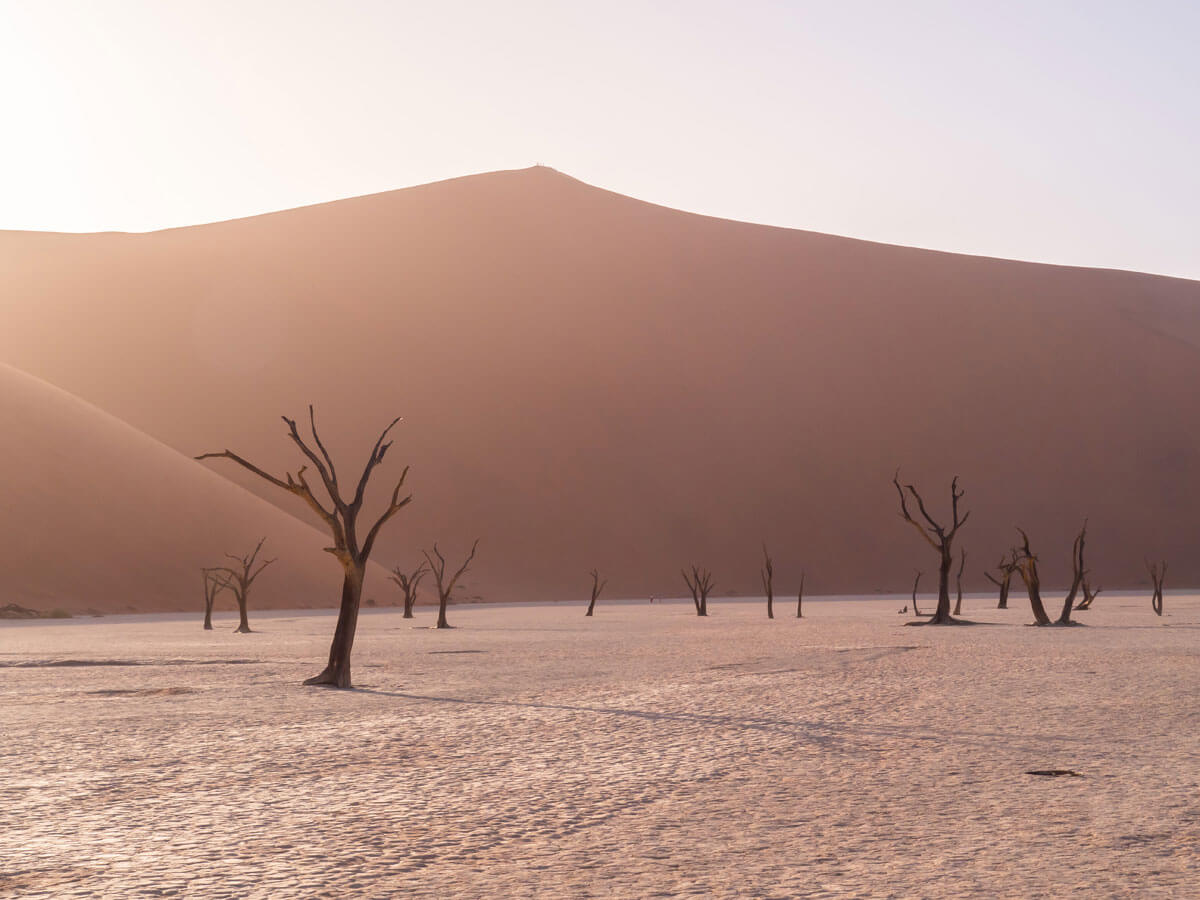 Namibia Sehenswuerdigkeiten Deadvlei ”