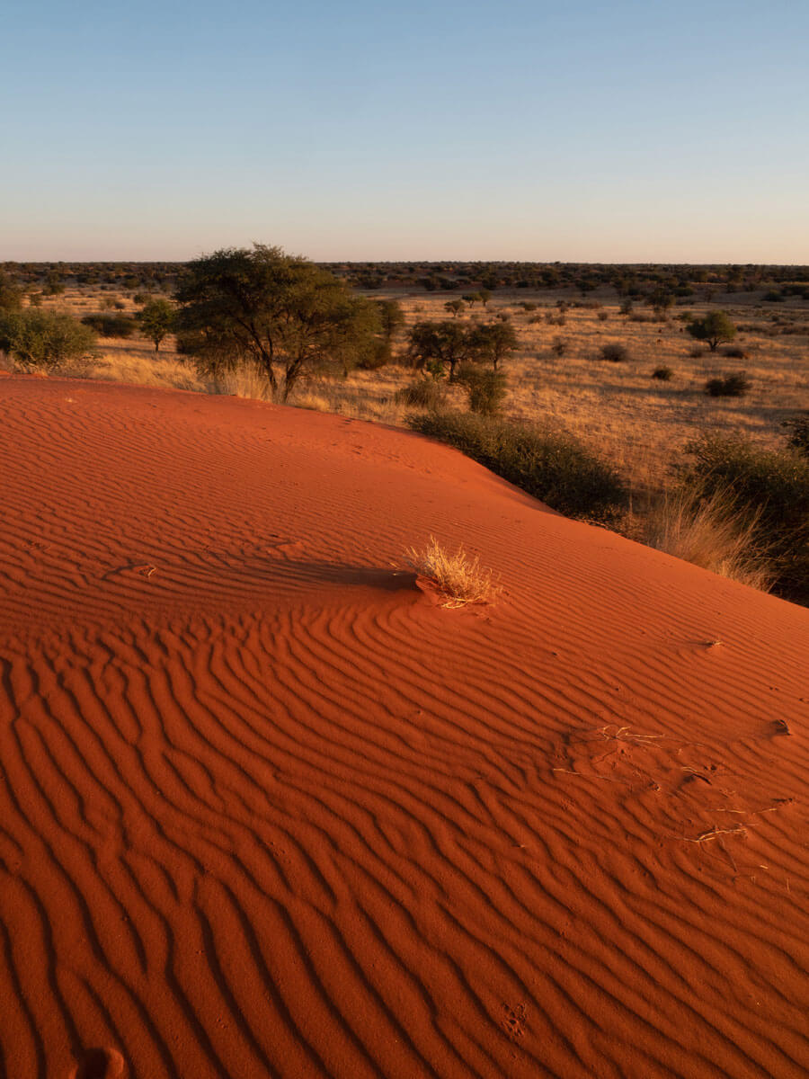 Namibia Sehenswuerdigkeiten Kalahari ”