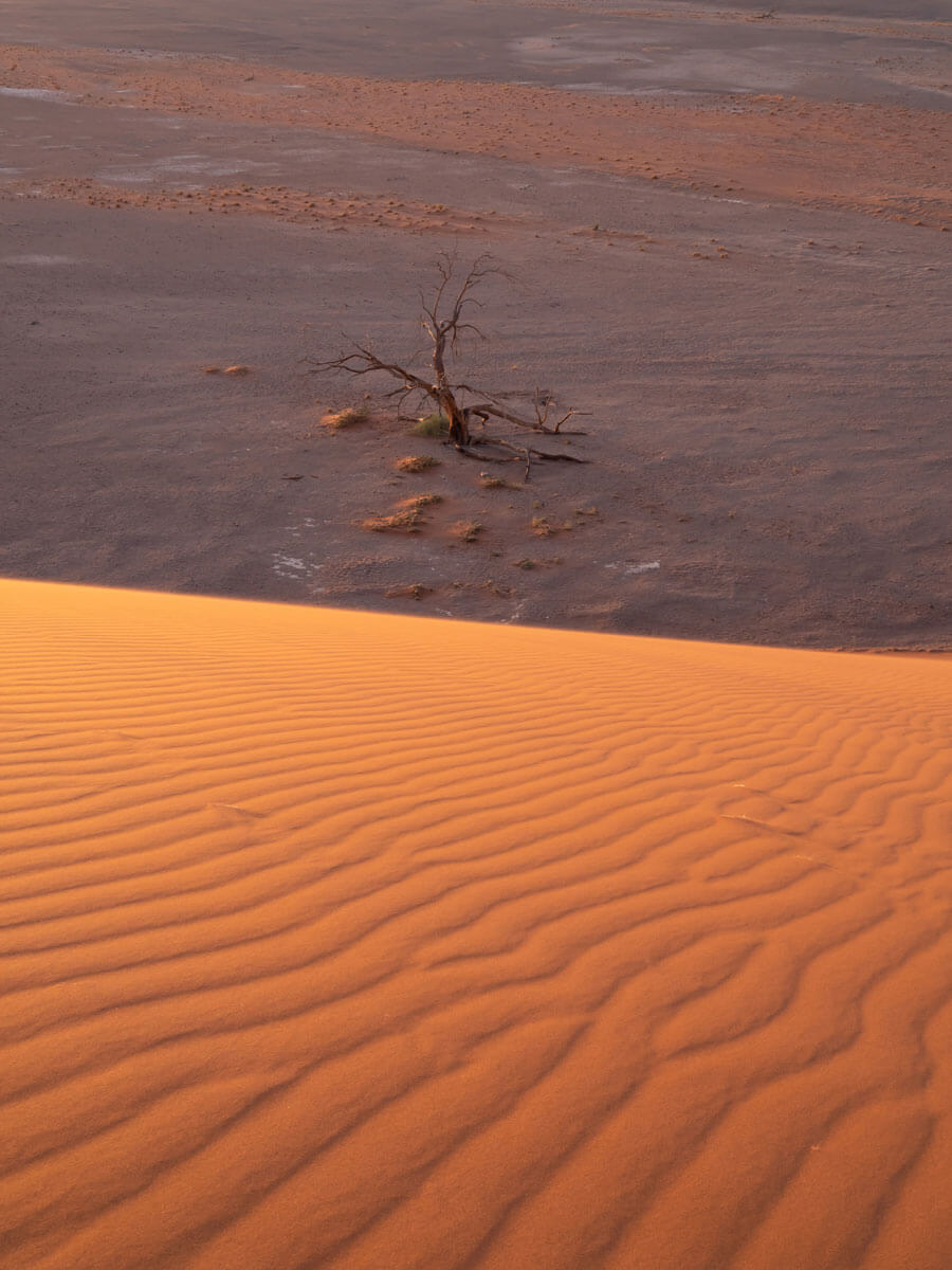 Sonnenuntergang Dune ” Sossusvlei Deadvlei ”