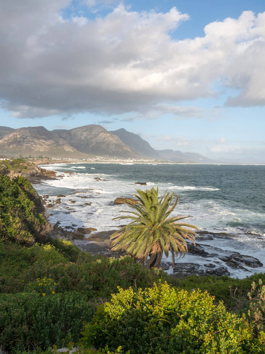 Suedafrika Garden Route Hermanus ”