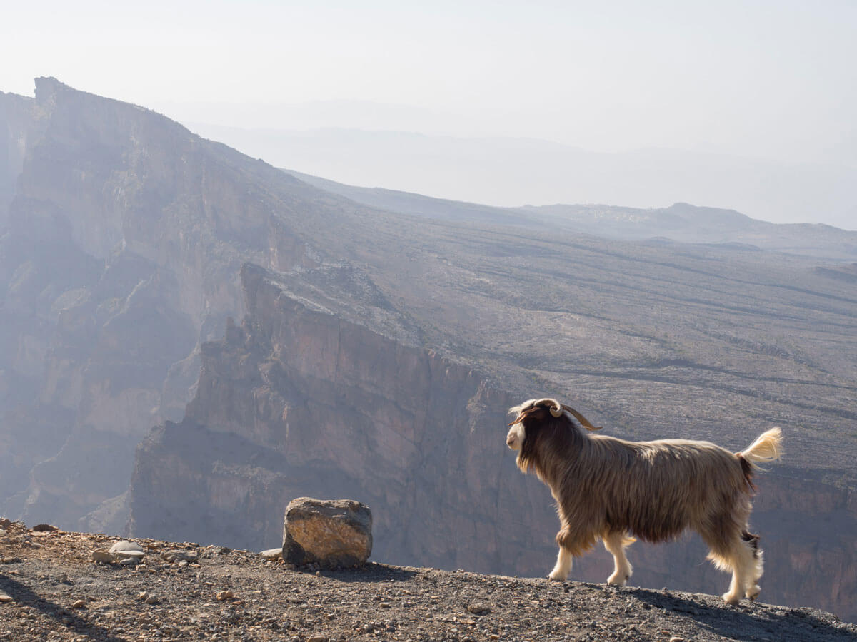 Oman Rundreise Reiseroute Jabal Shams Balcony Walk ”