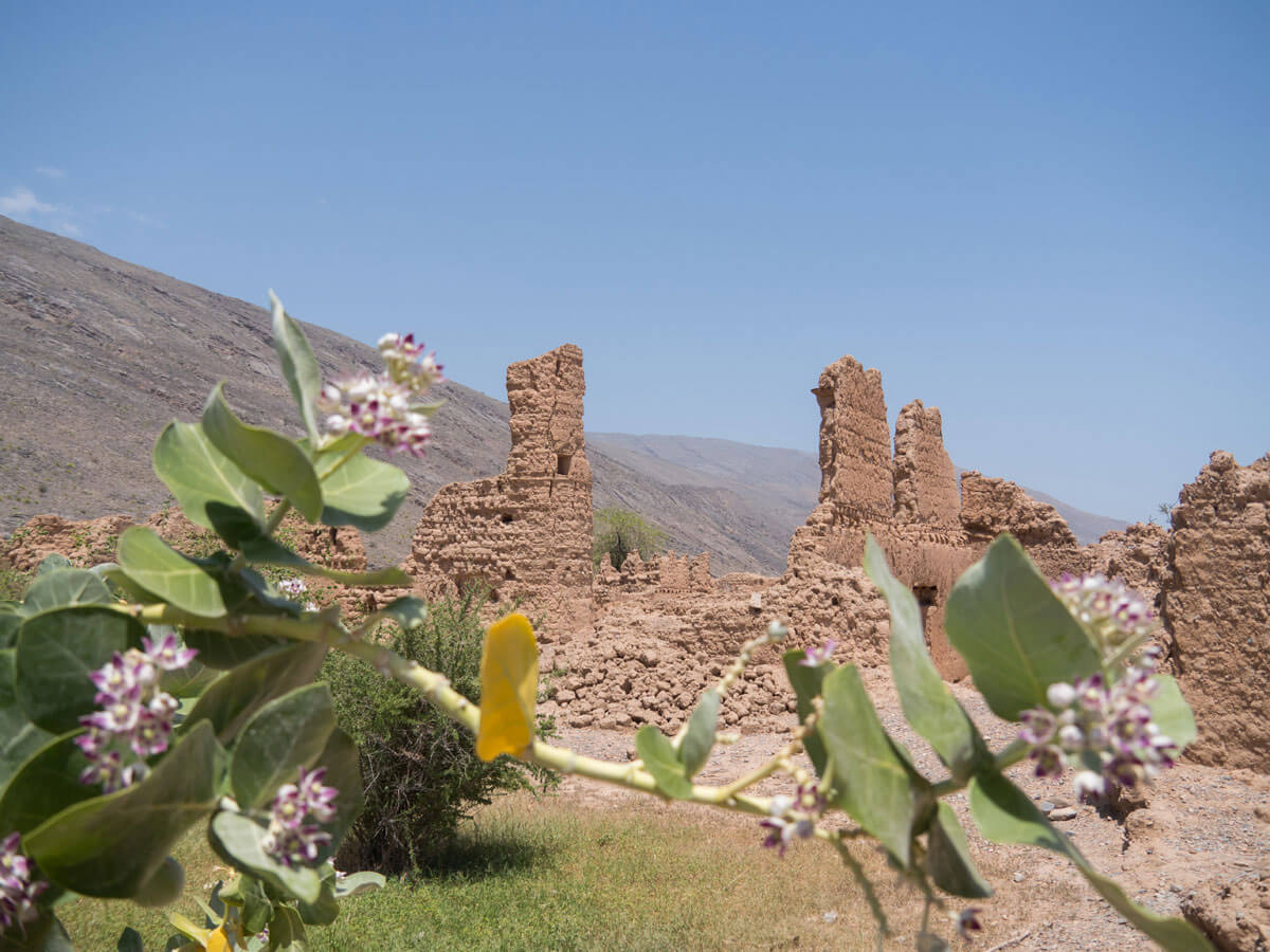 Oman Rundreise Reiseroute Tanuf