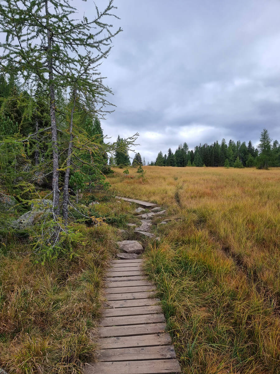 Wandern Turracher Hoehe Kaernten Oesterreich ” Wandern Turracher Hoehe Kaernten Oesterreich ”