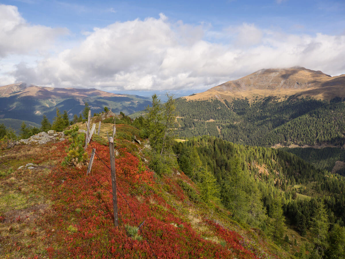 Wandern Turracher Hoehe Kaernten Oesterreich ” Wandern Turracher Hoehe Kaernten Oesterreich ”