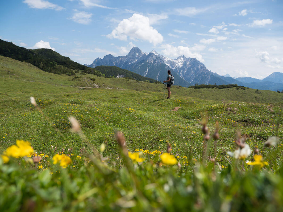 Kat Walk Kitzbueheler Alpen (”) Kat Walk Kitzbueheler Alpen (”)