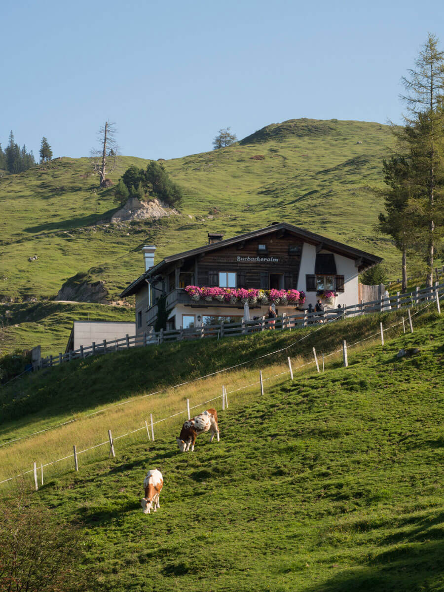 Hohe Salve Buchacker (”) Hohe Salve Buchacker (”)