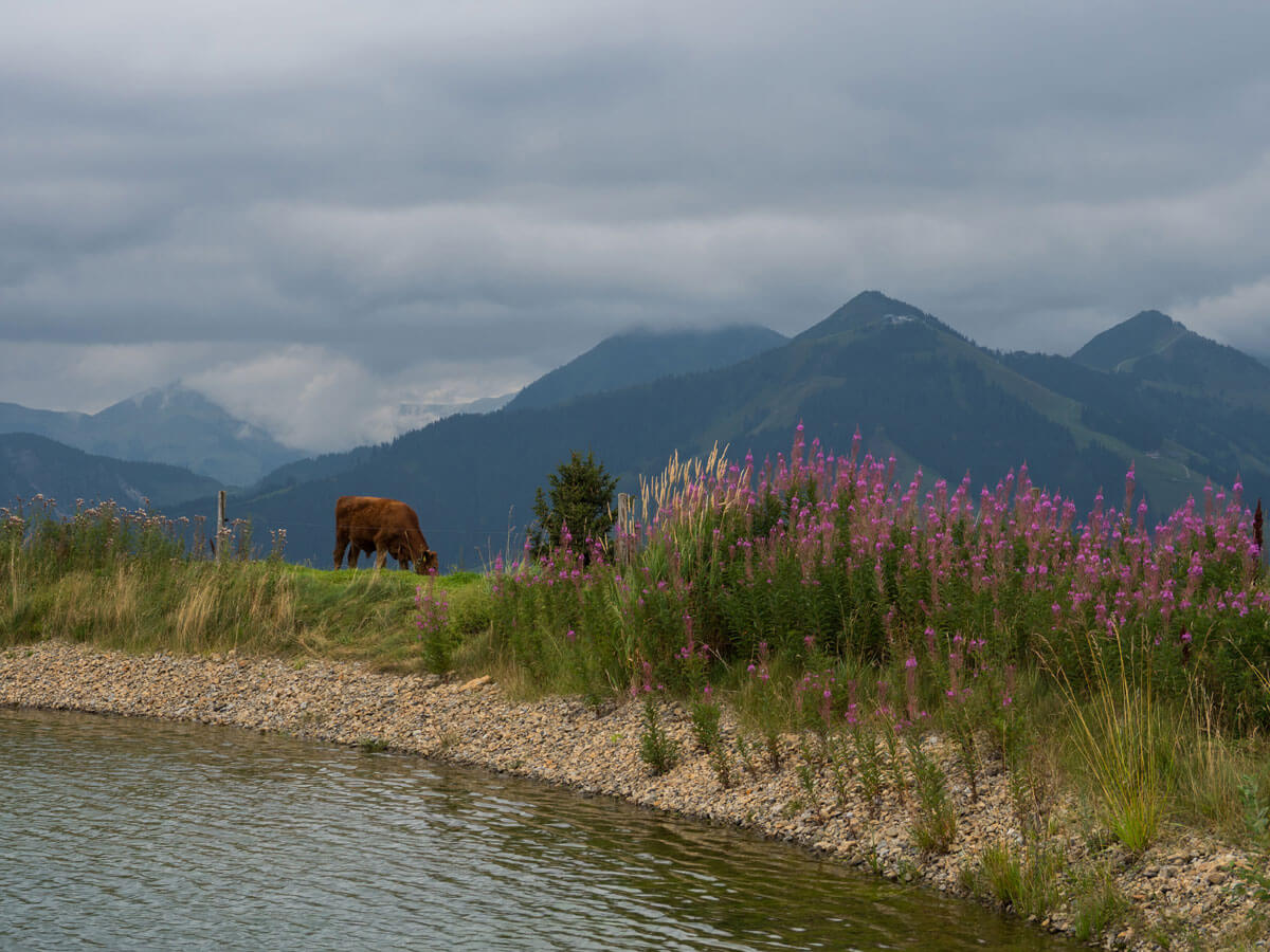Hohe Salve Mountainbike Tour (”) Hohe Salve Mountainbike Tour (”)