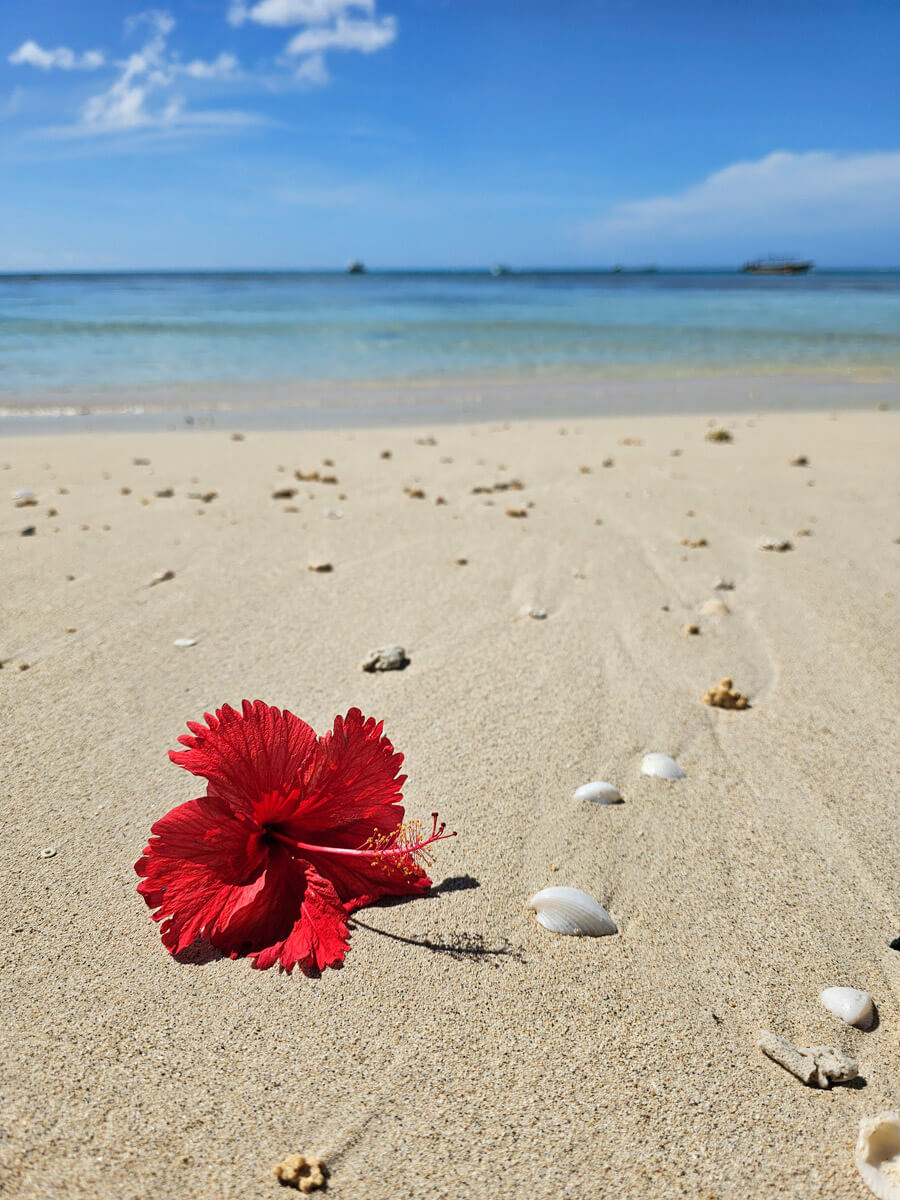 Blue Island Fiji (”) Blue Island Fiji (”)