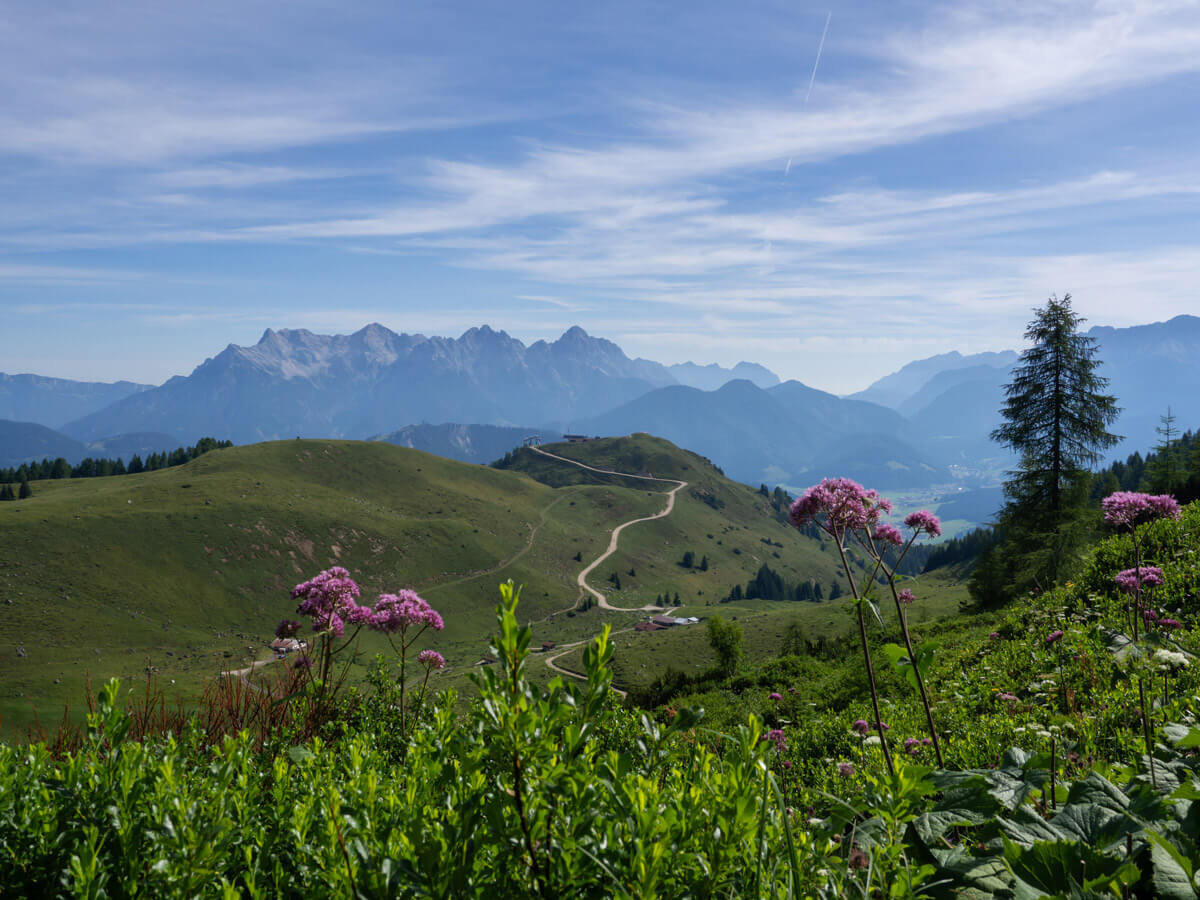 Weitwandern Waiwi Pillerseetal (”) Weitwandern Waiwi Pillerseetal (”)
