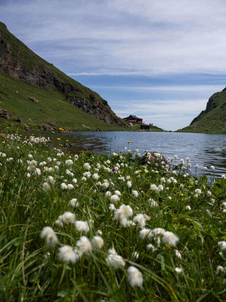 Weitwandern Waiwi Pillerseetal (”) Weitwandern Waiwi Pillerseetal (”)