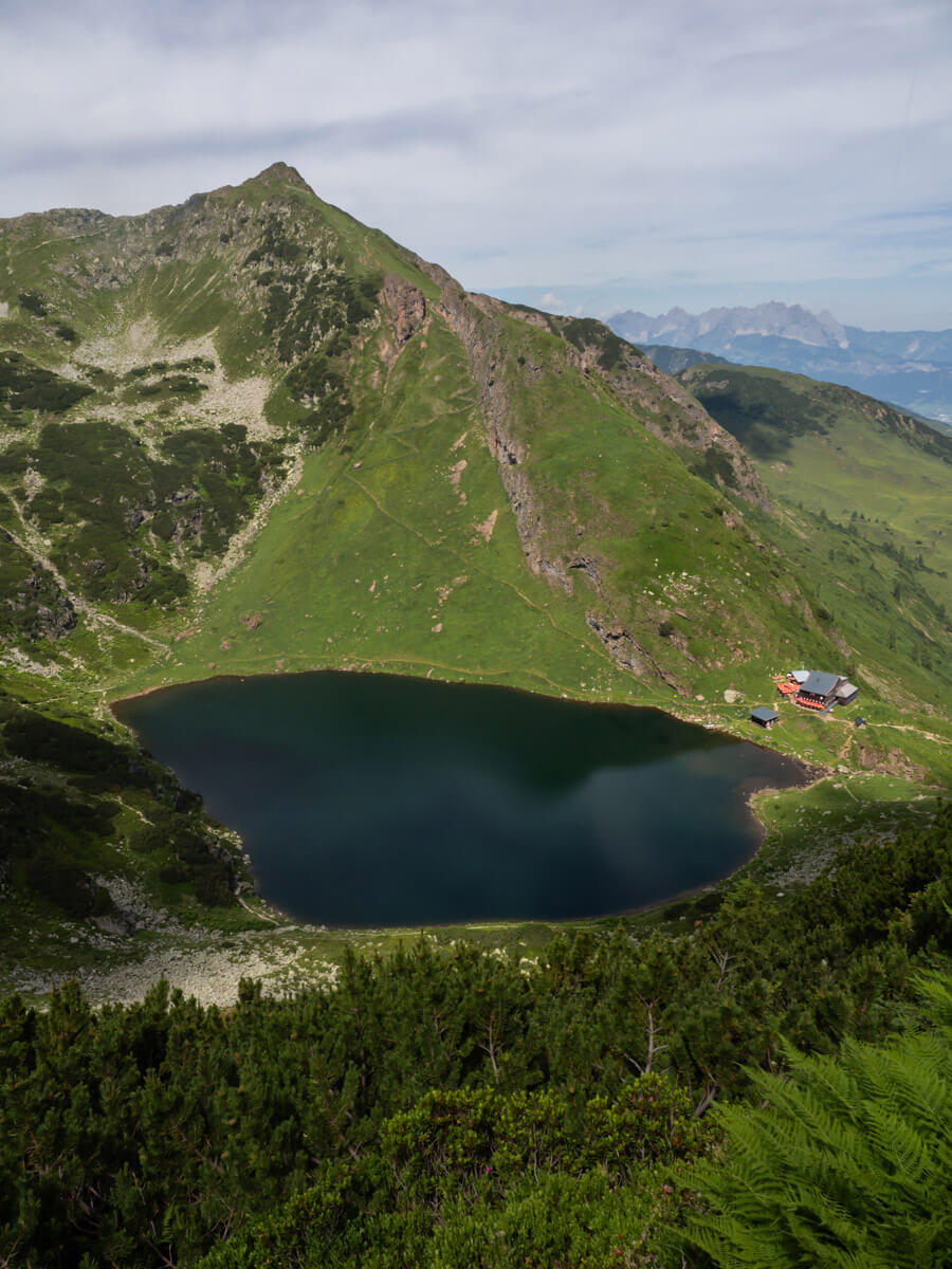 Auf der Henne
Weitwandern Waiwi Pillerseetal (”)