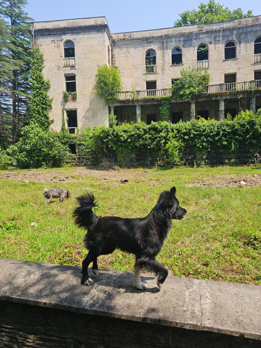 Reiseguide Zqaltubo – Der schöne Lost Place von Georgien zqaltubo georgien reisetipps 1 - Reiseguide Zqaltubo – Der schöne Lost Place von Georgien